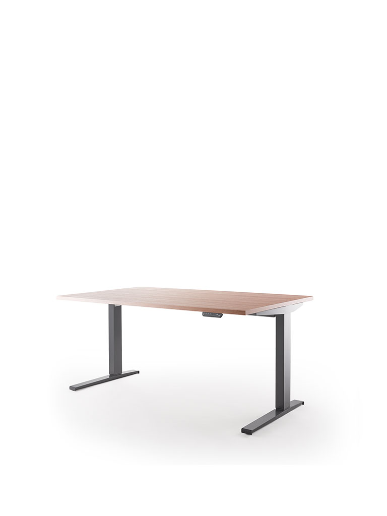 Darrio | Höhenverstellbarer Sitz-Steh-Tisch | Office